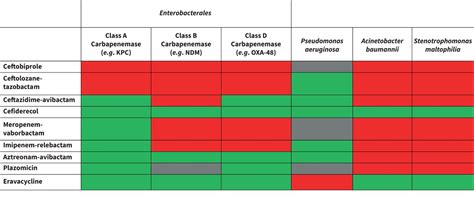 New antibiotics for Gram-negative pneumonia | European Respiratory Society