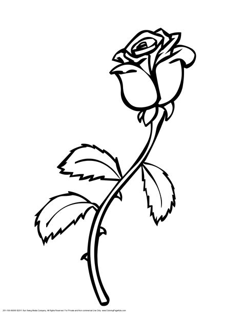 Rose Vines Drawings - ClipArt Best