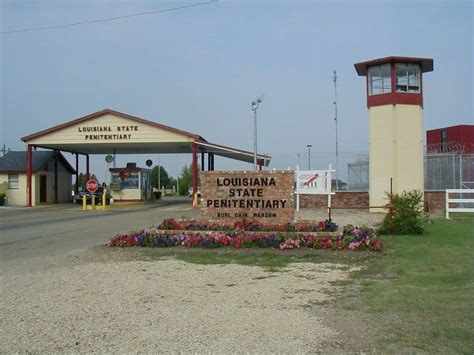 A Glimpse Behind Bars: Unveiling the Tales of Angola at the Louisiana ...