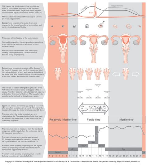 Fertility Awareness — Fertility UK