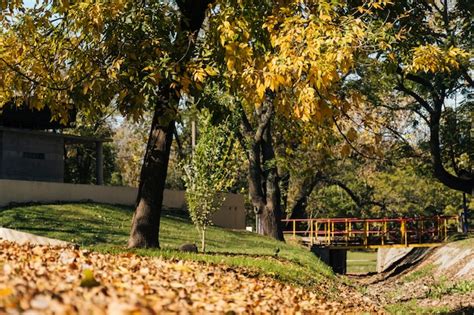 Free Photo | Beautiful autumn in the park landscape