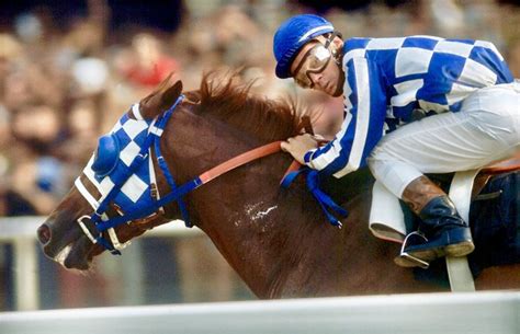 American thoroughbred Secretariat and Ron Turcotte at the 1973 Belmont ...