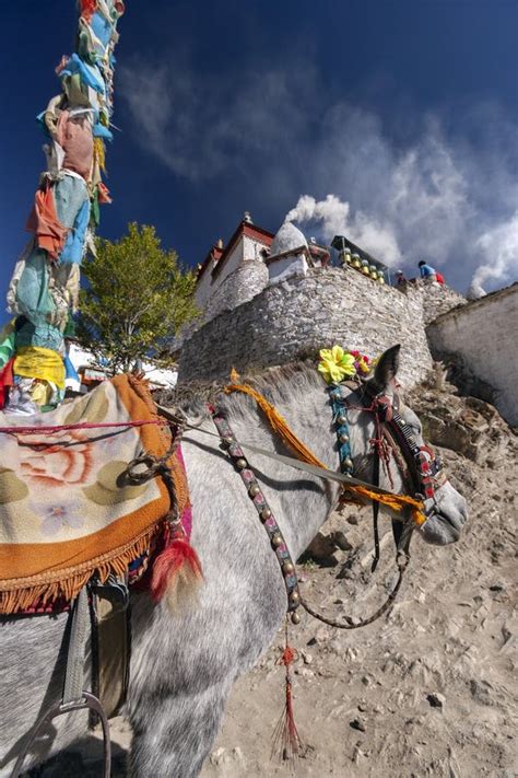 Yungbulakang Palace - Tibet Stock Image - Image of himalayas, region ...