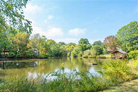 Burke Lake