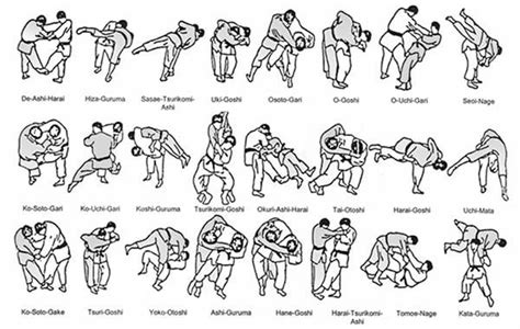 Judo throws | Karate martial arts, Judo, Martial arts workout