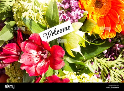 Welcome Card with Bouquet of Flowers Stock Photo, Royalty Free Image: 139637973 - Alamy