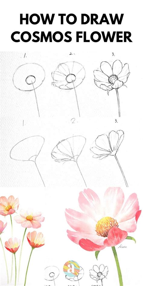 How to draw flowers | Watercolor flower art, Flower drawing tutorials, Flower drawing