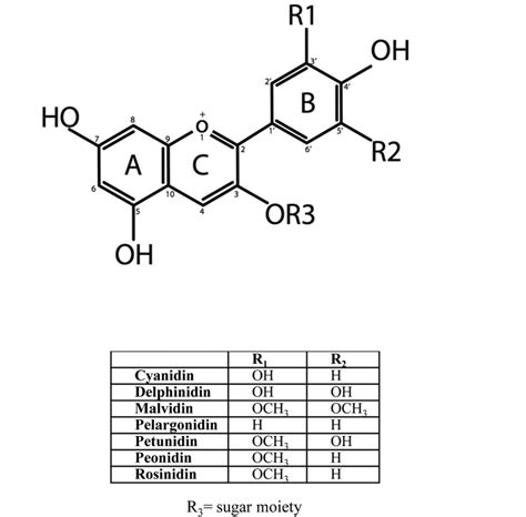 Basic Structure of Anthocyanidin | Download Scientific Diagram