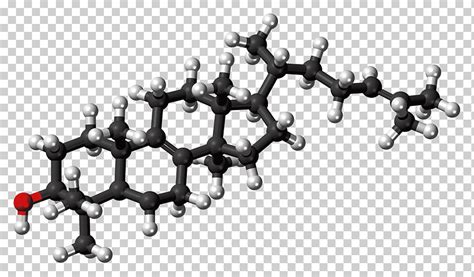 Cholesterol Cell membrane Lipid Molecule Low-density lipoprotein, others, miscellaneous, food ...