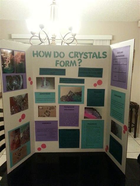 Pin by Jennifer Colangelo on School stuff | 3rd grade science projects, Science fair projects ...