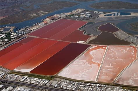 Artemia (A.K.A. Brine Shrimp, A.K.A. Sea Monkey) breeding ponds, San Francisco Bay (3,504 × ...