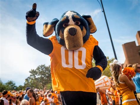 University of Tennessee unveils Smokey statues on Knoxville campus