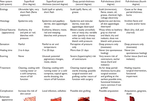 The Old and New System Classifications of Burn Wound Based on Depth. | Download Scientific Diagram