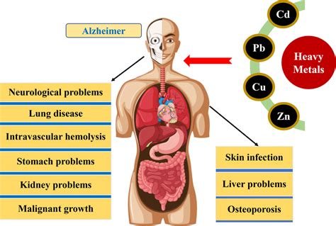 Heavy metal pollution in the aquatic environment: efficient and low-cost removal approaches to ...