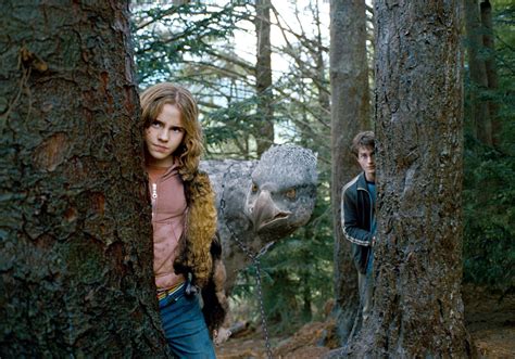 Hermione, Harry and Buckbeak — Harry Potter Fan Zone