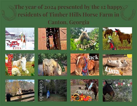 HORSE 2024 Wall Calendar - Etsy