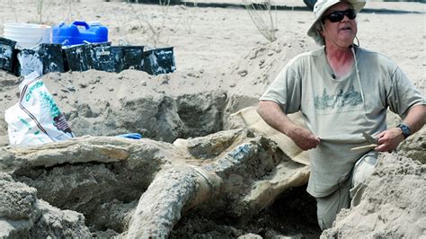 New Mexico bachelor party finds 3-million-year-old stegomastodon fossil ...