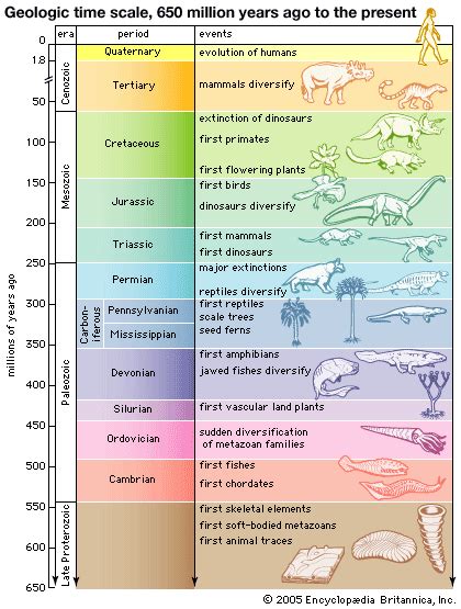 Geologic History « My Blog