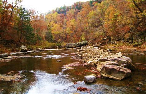 Ozarks Highland Trail (Richland to Woolum) | Hiking spots, Ozark ...