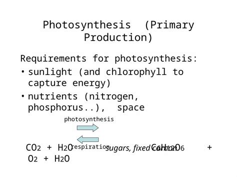 (PPT) Photosynthesis (Primary Production) Requirements for photosynthesis: sunlight (and ...