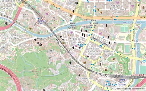 Tai Po Market Essential Tips and Information