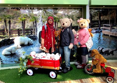 The 5 Best Teddy Bear Museum Tours & Tickets 2020 - Jeju | Viator