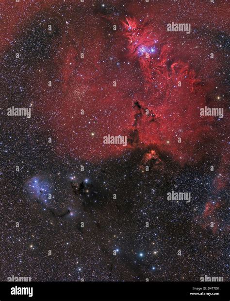 Fox fur nebula hi-res stock photography and images - Alamy