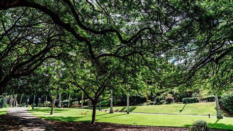 Newstead Park - Concrete Playground