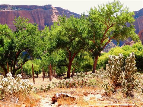 Visit Chinle: 2021 Travel Guide for Chinle, Arizona | Expedia