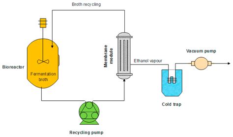 Ethanol Fermentation Equation