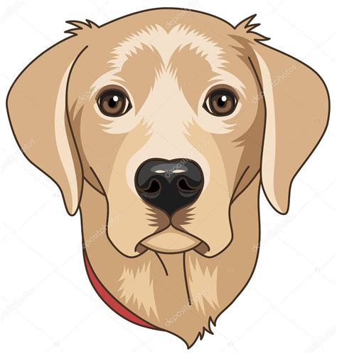 Head Beige Cartoony Labrador Isolated White Background Dog Symbol 2018 — Stock Vector © reinekke ...