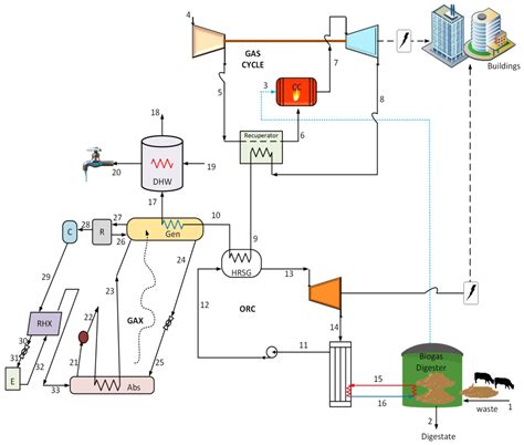 Biomass Energy Plant Diagram