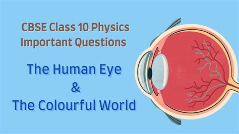 CBSE Class 10 Physics Human Eye Important Questions and Answers for 2023