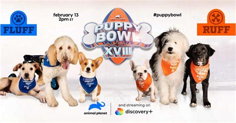 2024 Puppy Bowl Winners - Nelli Yasmeen