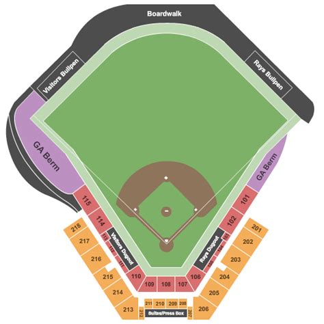 Tampa Bay Rays Seating Chart And Pricing | Cabinets Matttroy