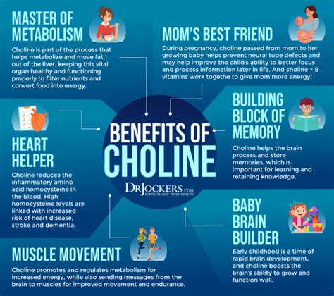 Choline: Signs of Deficiency, Benefits, and Food Sources - DrJockers.com