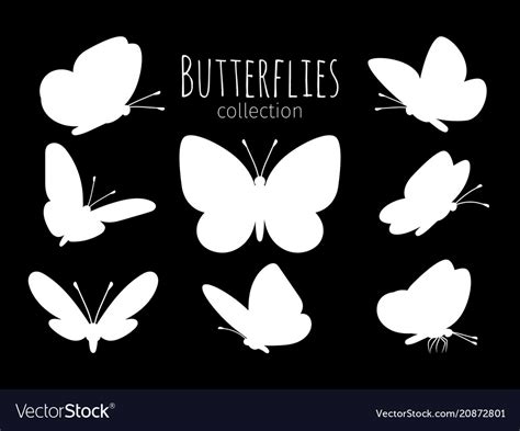 White butterfly silhouettes Royalty Free Vector Image