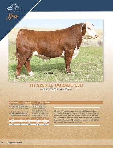 Topp Herefords 2022 Bull Sale Catalog by Topp Herefords - Issuu