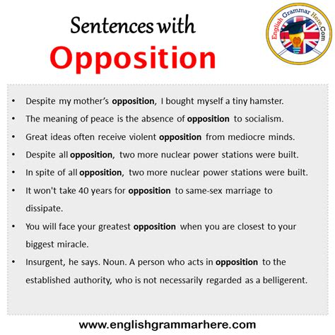 Sentences with Opposition, Opposition in a Sentence in English ...