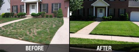 Before & After - PureLawn - Cincinnati & Dayton Organic Lawn Care Service