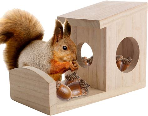 Best Squirrel Feeder 2023 | TOP 30 Squirrel Feeders