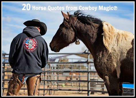 20 Horse Quotes - Cowboy Magic