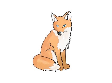 Easy Steps to Draw a Fox