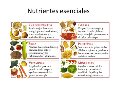 Ciencias 1: Nutrientes de los alimentos