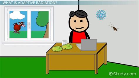 Adaptive Radiation | Definition, Process & Examples - Video & Lesson ...