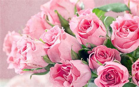 Fresh Flowers Bouquet Of Pink Roses Hd Desktop Backgrounds Free Download, HD wallpaper ...