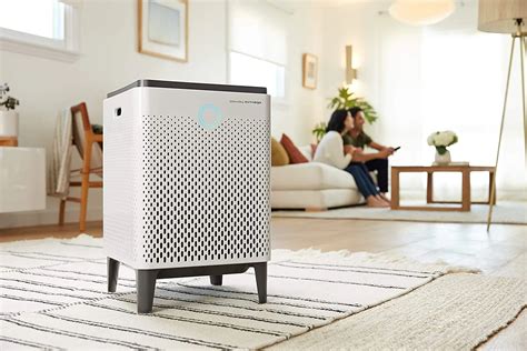 Air Scrubber vs Air Purifier 2024 - What's The Difference?