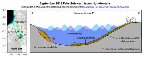 A large submarine landslide contributed to the September 2018 Palu ...