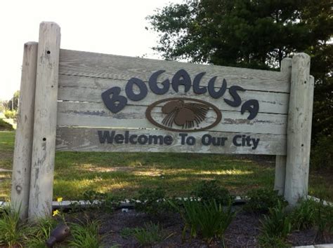 PrunePicker: Bogalusa, Louisiana