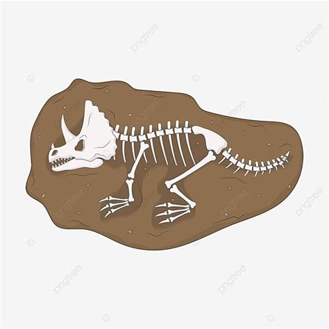 Dinosaur Fossil Vector Hd PNG Images, Dinosaur Fossil Clipart Cartoon ...